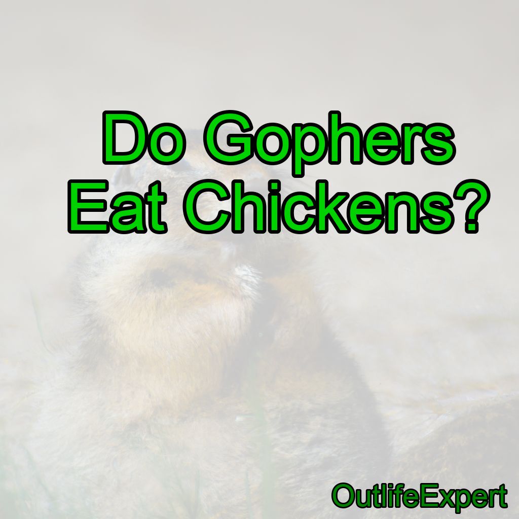 Do Gophers Eat Chickens?