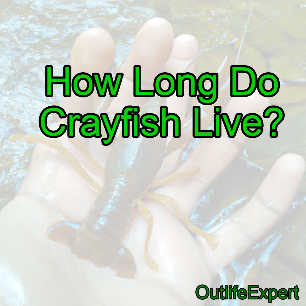 How Long Do Crayfish Live?