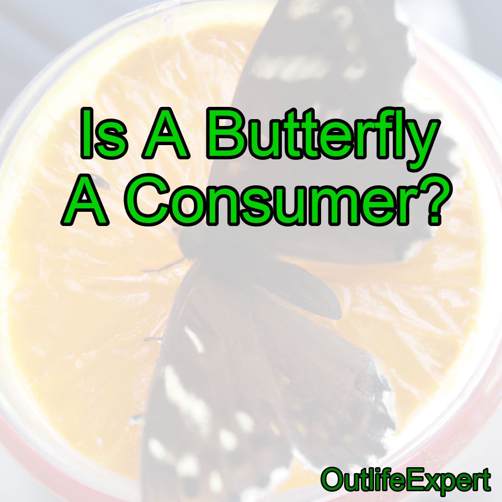 Is A Butterfly A Consumer?