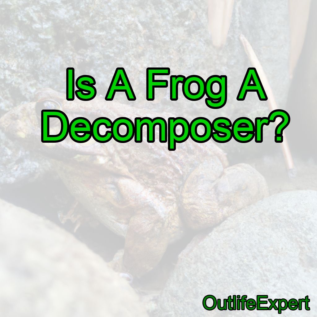 Is A Frog A Decomposer?