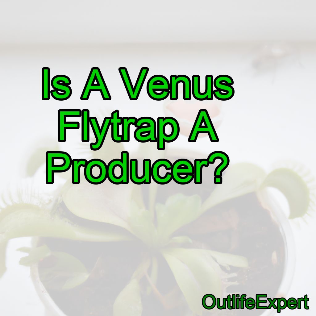 Is A Venus Flytrap A Producer?