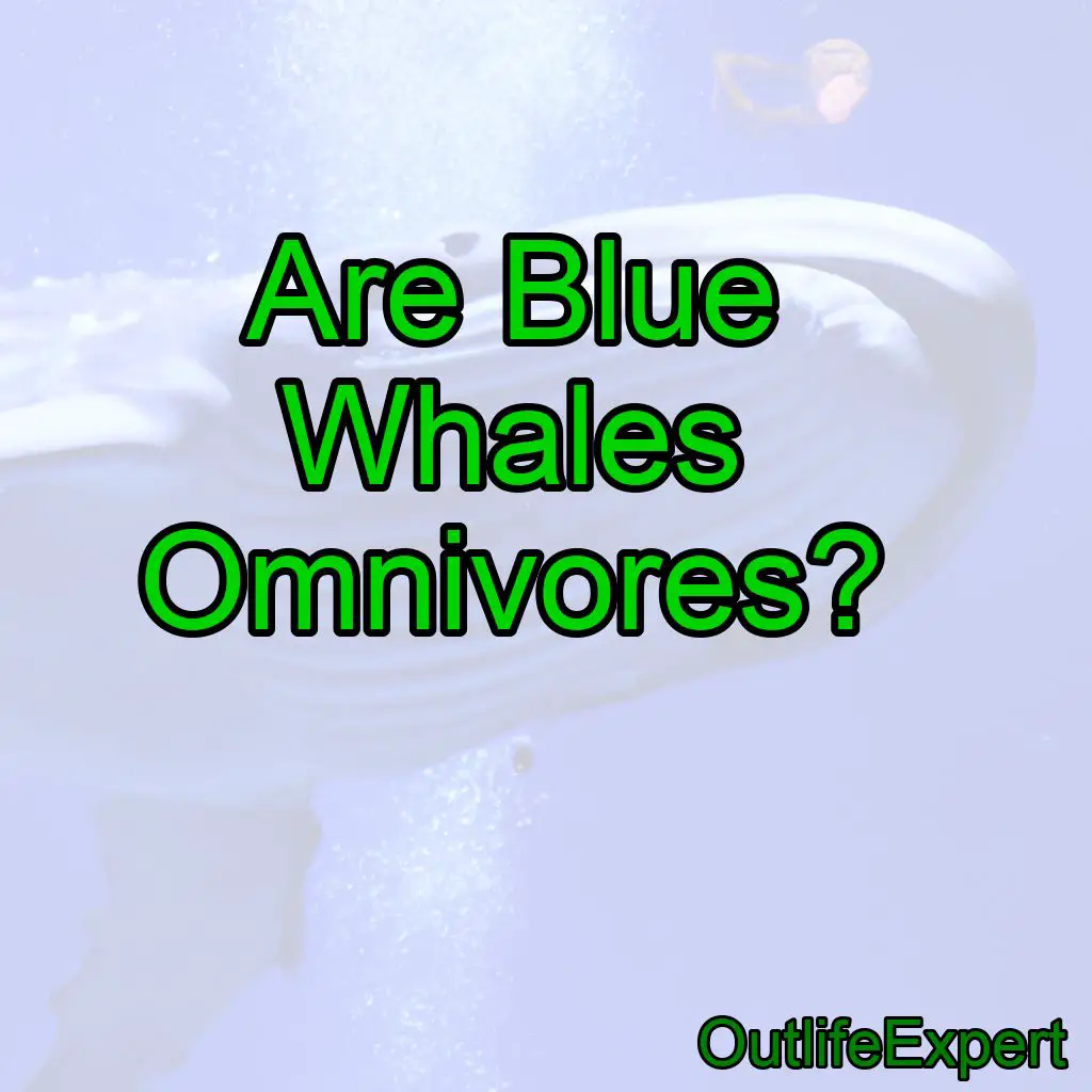 Are Blue Whales Omnivores?