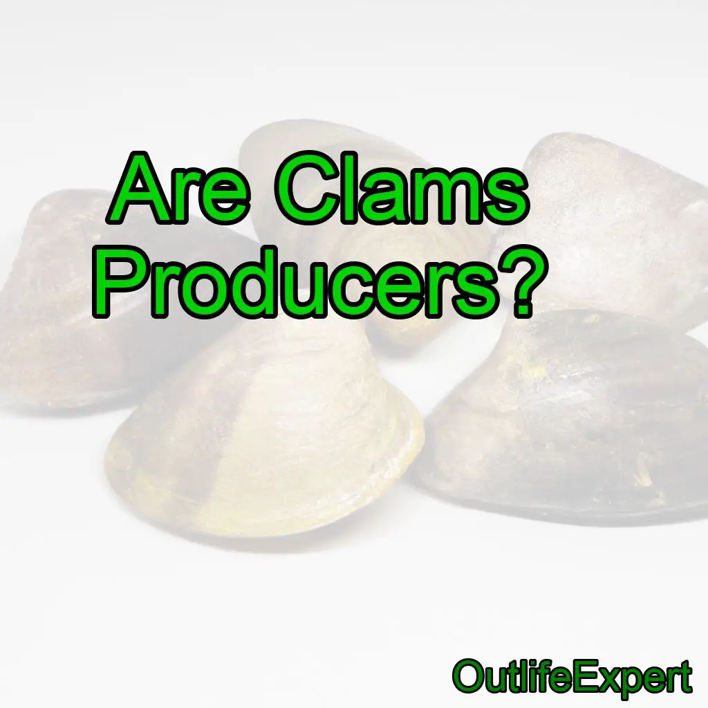Are Clams Producers?