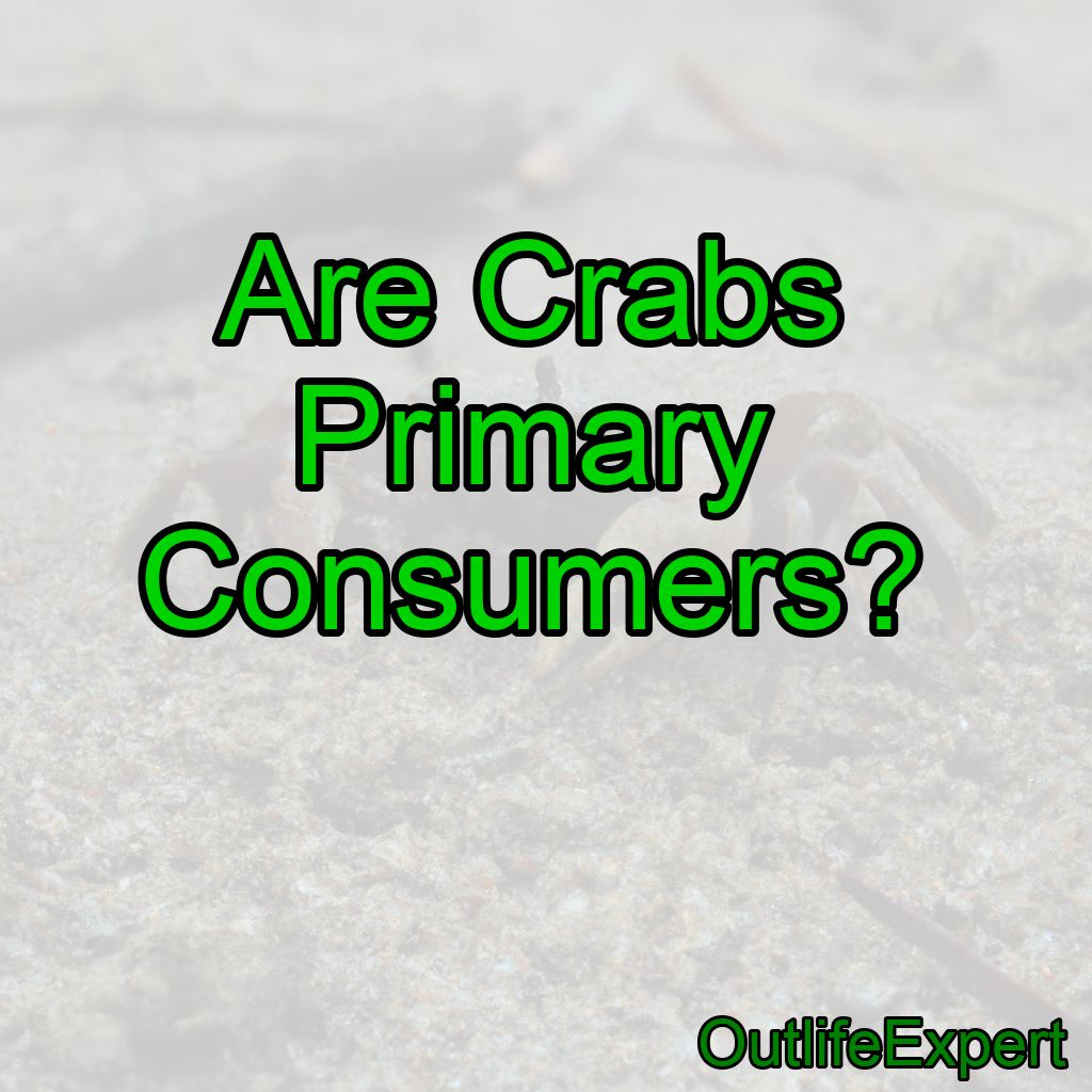 Are Crabs Primary Consumers?