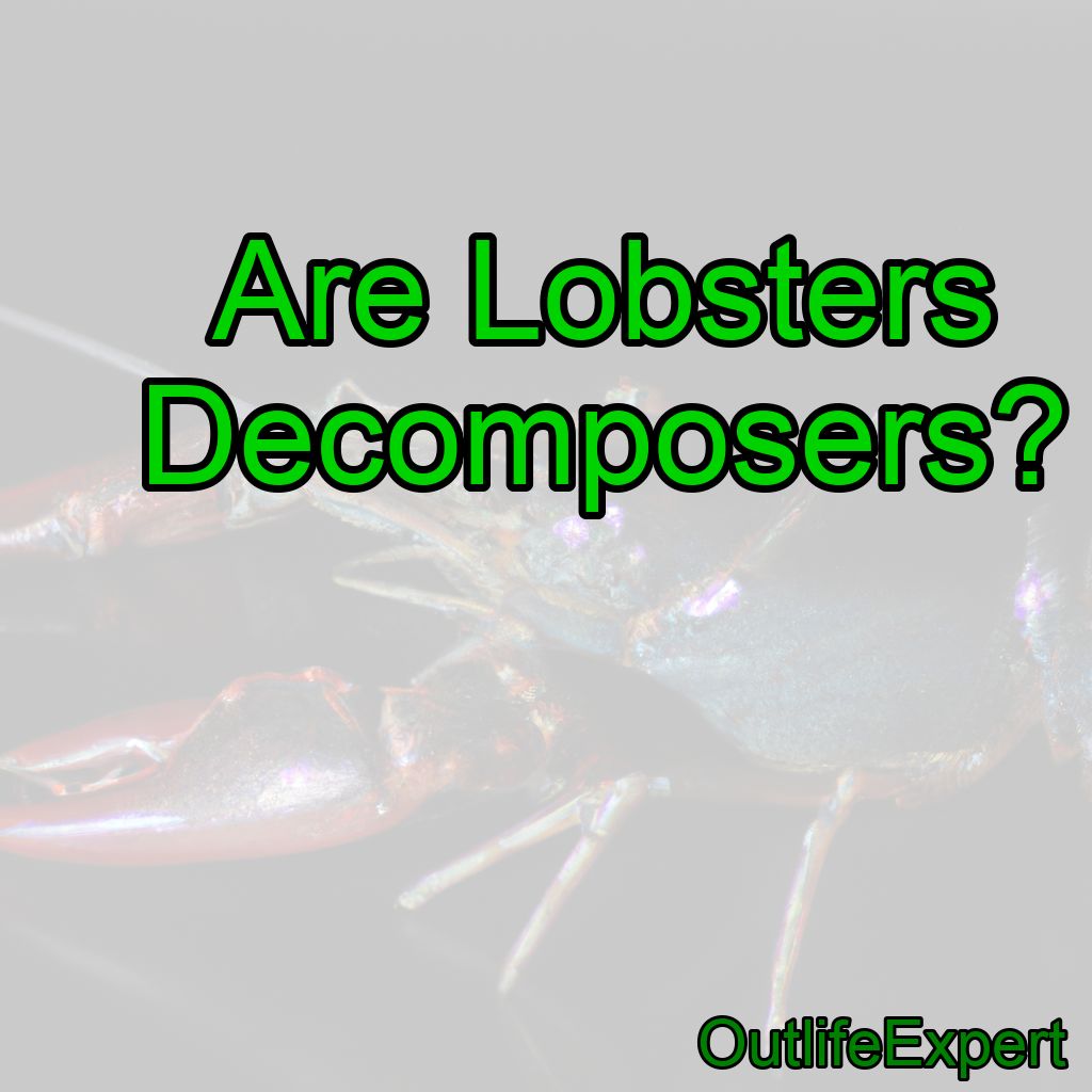 Are Lobsters Decomposers?