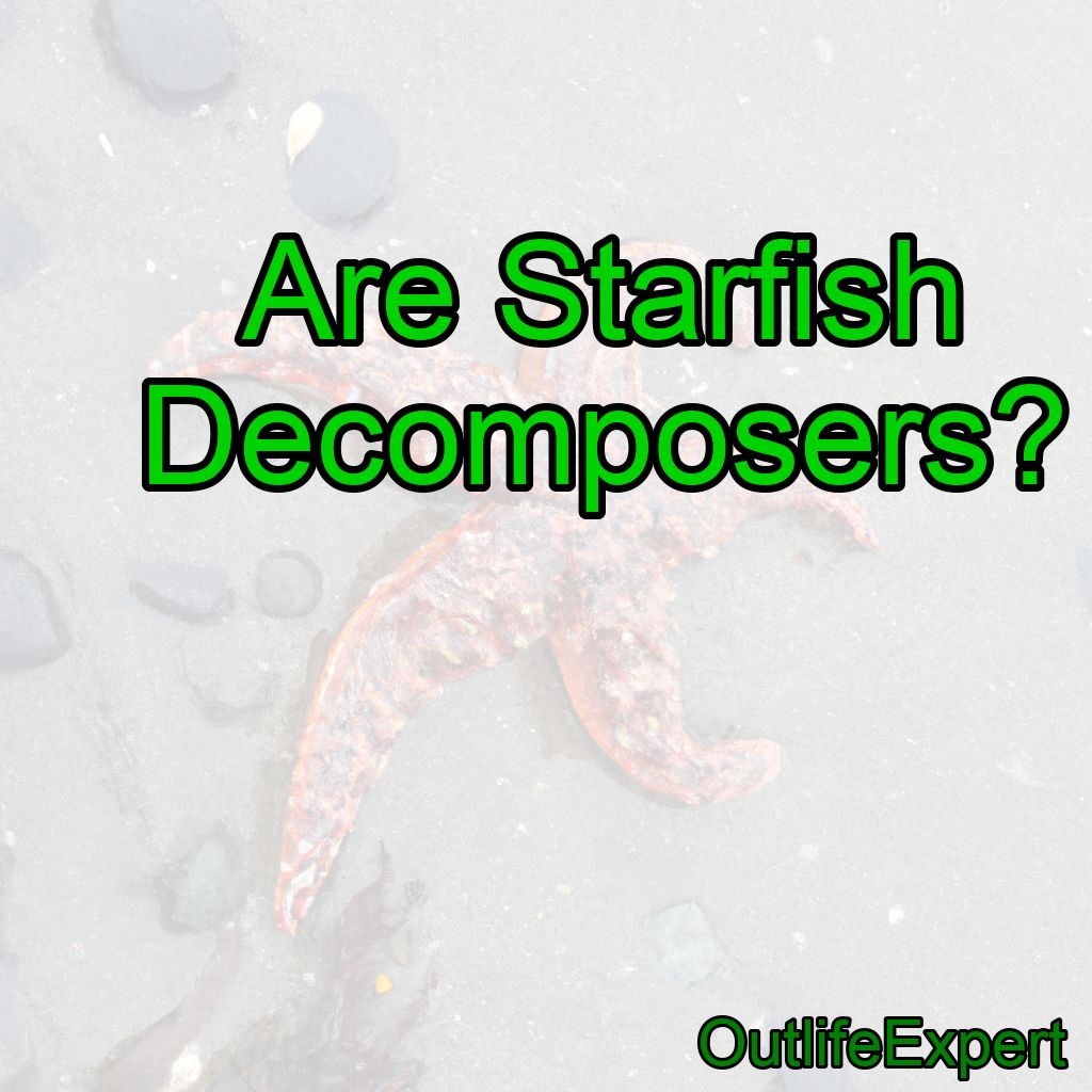 Are Starfish Decomposers?