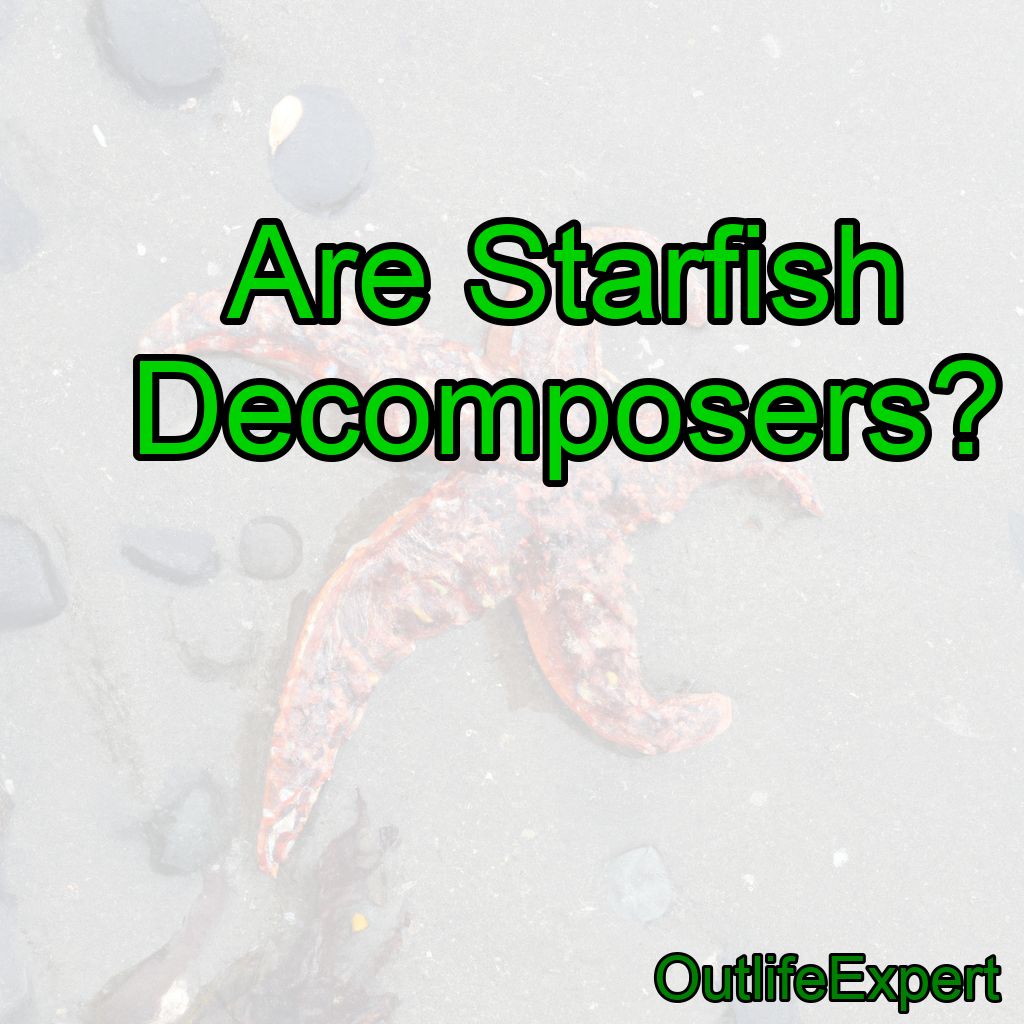 Are Starfish Decomposers?