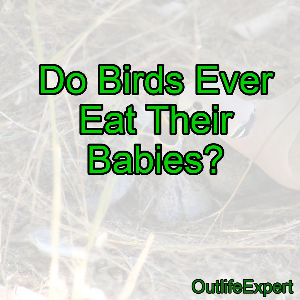 Do Birds Ever Eat Their Babies?