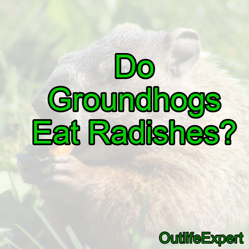 Do Groundhogs Eat Radishes?
