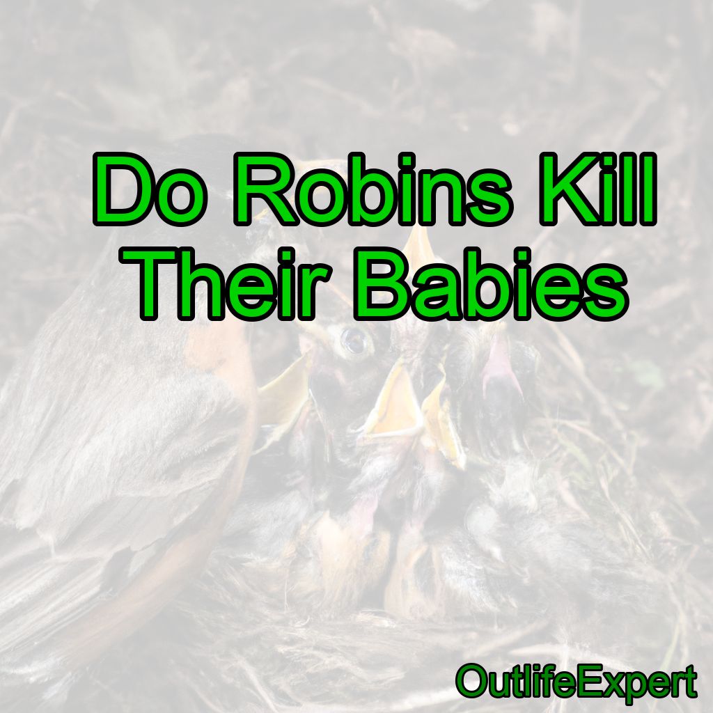 Do Robins Kill Their Babies?