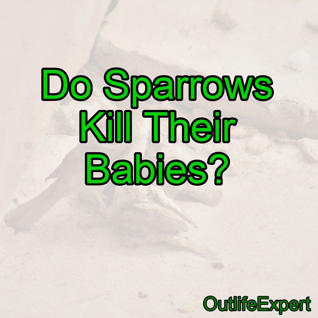 Do Sparrows Kill Their Babies?