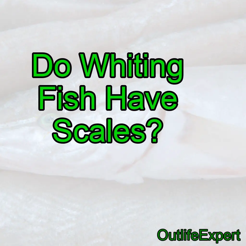 Do Whiting Fish Have Scales?