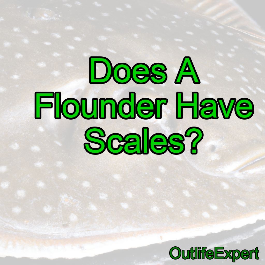 Does A Flounder Have Scales?