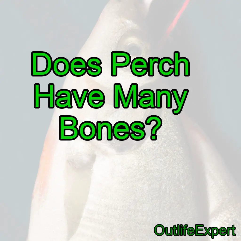 Does Perch Have Many Bones?