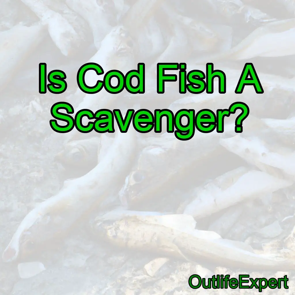Is Cod Fish A Scavenger?