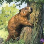 Can Groundhogs Climb Trees? (Why would they?)